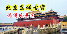 屄肏屄中国北京-东城古宫旅游风景区