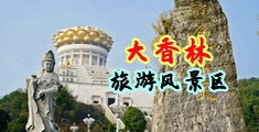 大鸡巴操大嫩逼的视频中国浙江-绍兴大香林旅游风景区